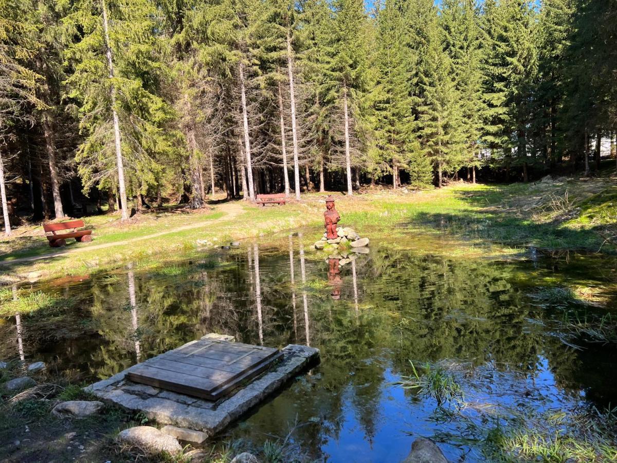 WELLNESS APARTMÁN RESIDENT HARRACHOV C208, 1KK s kuchyní, balkonem, uvítacím balíčkem a multimediálním centrem, PlayStation 5, O2 TV, Netflix, Disney plus Exterior foto