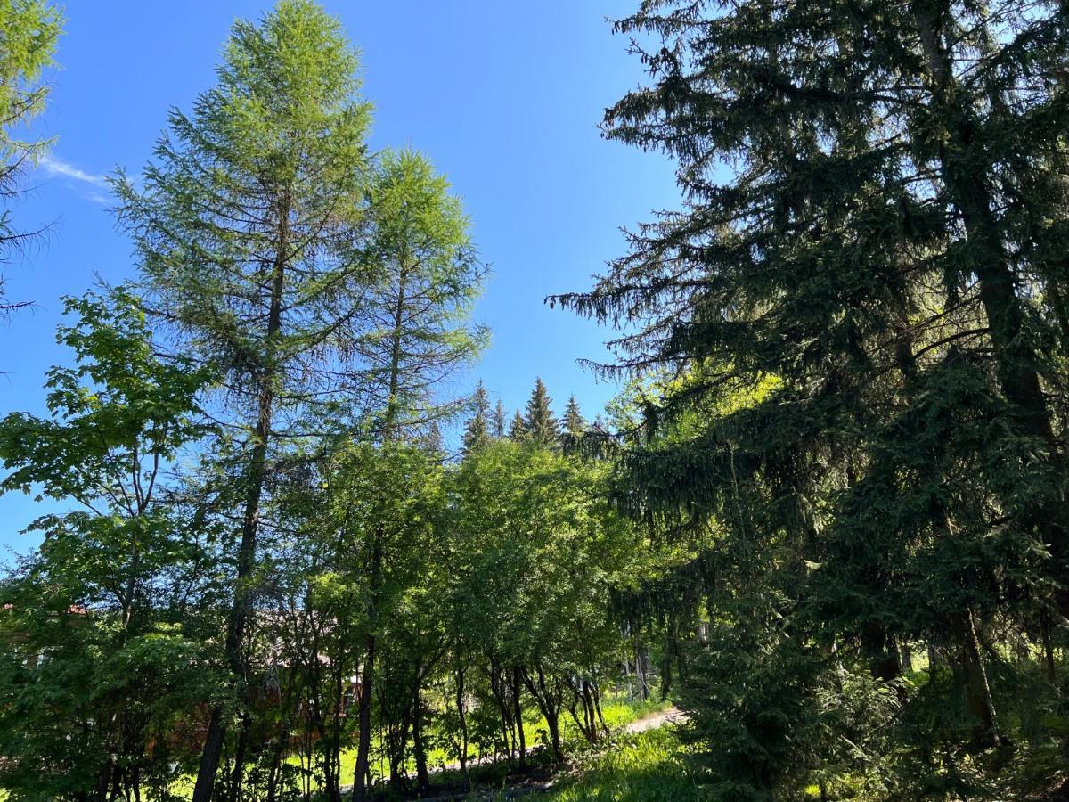 WELLNESS APARTMÁN RESIDENT HARRACHOV C208, 1KK s kuchyní, balkonem, uvítacím balíčkem a multimediálním centrem, PlayStation 5, O2 TV, Netflix, Disney plus Exterior foto